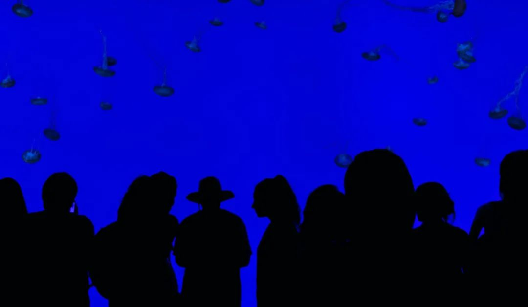 会展链接旅游，旅游助力会展，后疫情时代下的全新玩法